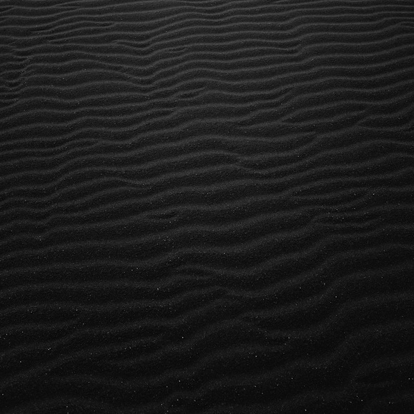 Meet your Posher, Flor - Picture 1 of 1